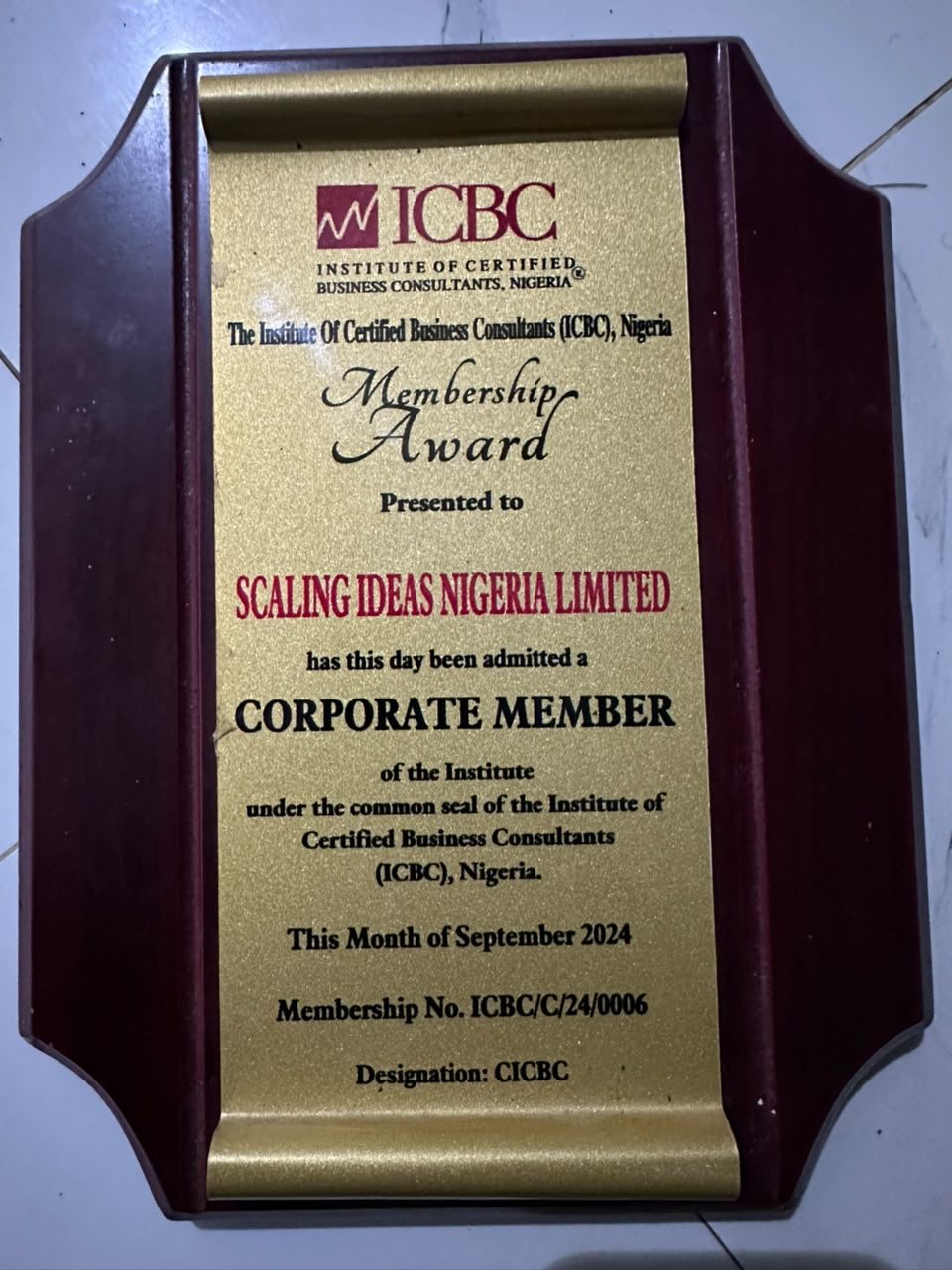 Scaling Ideas Nigeria Limited membership recognition